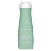 Look At Hair Plus Minticcino Deep Cooling Treatment